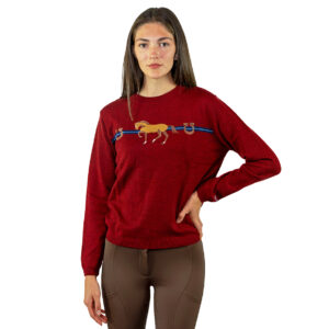 MAGLIONE D·ISTINTO STRIPE IN LANA MERINO